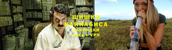 индика Медвежьегорск