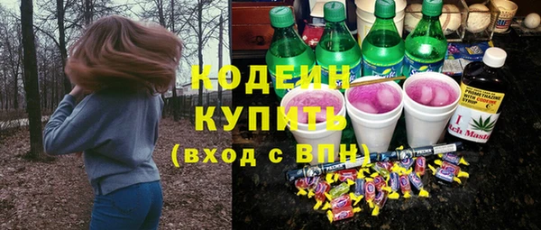 индика Медвежьегорск