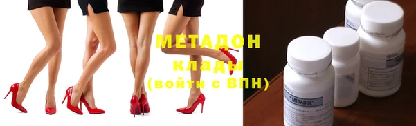 индика Медвежьегорск