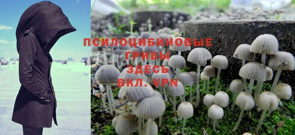 Альфа ПВП Медногорск