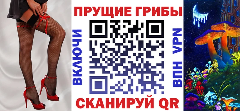 Галлюциногенные грибы Psilocybe  Лакинск 